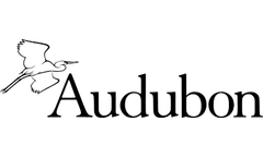 Audubon - Seed Tube Feeder