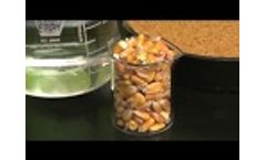 How Ethanol is Made Video