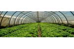 High quality gas sensor solutions for horticulture - Agriculture - Horticulture