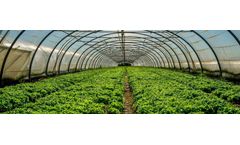 High quality gas sensor solutions for horticulture