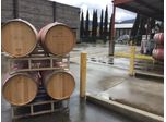 Carbon Dioxide Levels and Safety Considerations in Winemaking