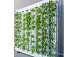 Creating the Perfect Environmental and Atmospheric Conditions for Vertical Farming