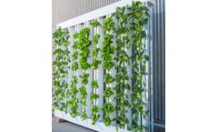 Creating the Perfect Environmental and Atmospheric Conditions for Vertical Farming