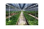 Carbon Dioxide Sensing for Controlled Environment Horticulture - Agriculture - Horticulture