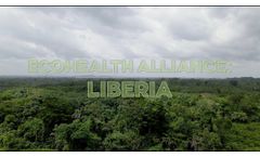 Liberia: A One Health Approach to Conservation - Video