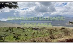 Tanzania: Field Work in the Savanna - Video