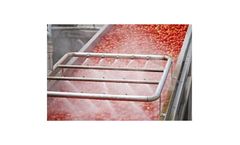 Water treatment solutions for food safety and preservation