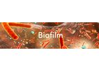 Jenfitch - Chemicals for Biofilm Removal