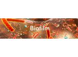 Chemicals for Biofilm Removal