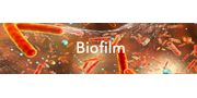 Chemicals for Biofilm Removal