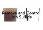 Iron Sulfide Control and Removal