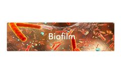 Biofilm Removal