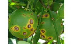 Jenfitch - Chemical for Controlling Citrus Cankers