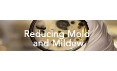 Jenfitch - Chemical for Reducing Mold and Mildew