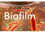 Chemicals for Biofilm Removal