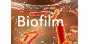 Chemicals for Biofilm Removal