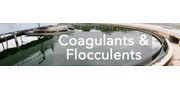 Coagulants and Flocculants