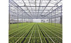 Microbial Biosensors for Greenhouses  & Agrifood