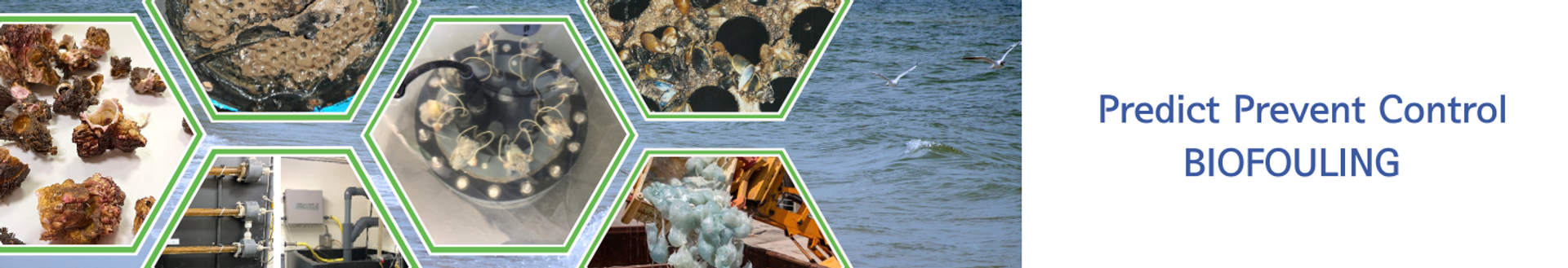 H2O Biofouling Solutions B.V.