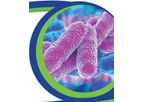 H2O - Legionella Risk Prevention Services