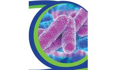 H2O - Legionella Risk Prevention Services