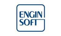 EnginSoft UK Ltd