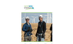 NextEra Energy, Inc. Profile pdf