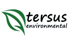 Tersus Environmental adds to its patent portfolio with issuance of US patent 11,123,779 B2