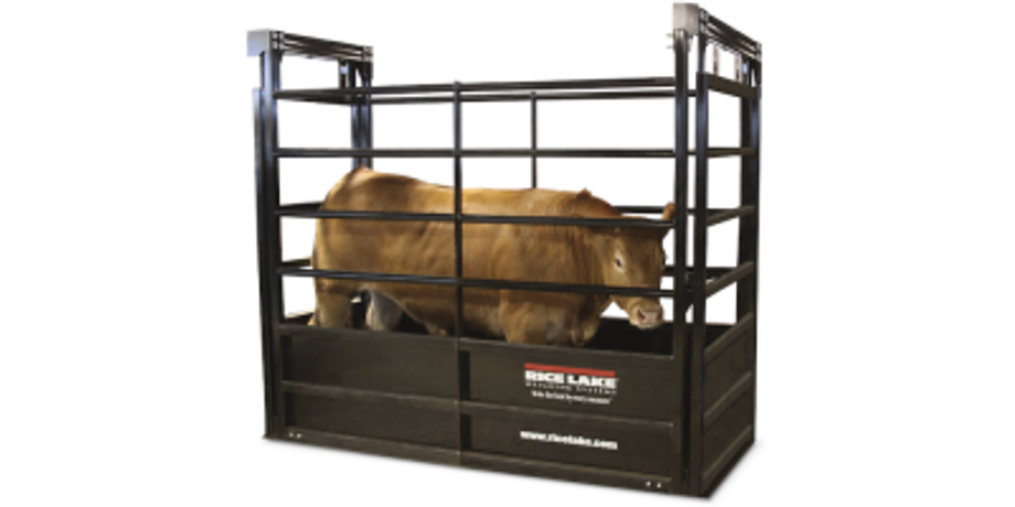 RoughDeck - Model SLV - Floor Livestock Scales