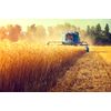 Farming for Water With Severn Trent