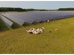 Dominion Energy Proposes New Solar Projects for Virginia Customers