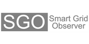 Smart Grid Observer