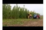 ZeaChem Poplar Tree Harvesting - short clip Video