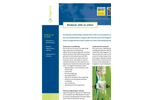 Biodiesel, Oil and Fats Brochure