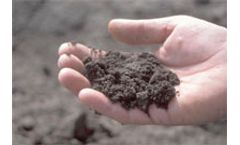 Absorbing organic pollutants in soils