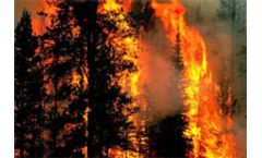 Forest fires help power the nitrogen cycle