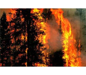 Forest fires help power the nitrogen cycle