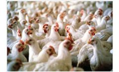 Arsenic in field runoff linked to poultry litter
