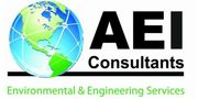 AEI Consultants (AEI)