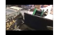 Potato Grading, Washing & Packing Line from Tong Engineering Video