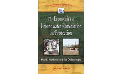 The Economics of Groundwater Remediation and Protection
