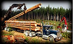 Mobile Sewage Treatment for the Forestry Industry