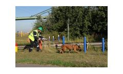 Leak detection with TÜV-certified dogs