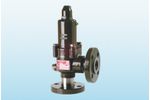Technical - Model 10000 Series - Safety Valve