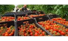 Pesticide and toxin screening for the food industry