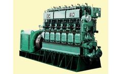 Model 350GFM - Biomass Generator