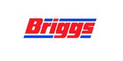 Briggs Marine & Environmental Services