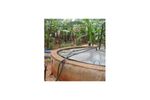 Biogas Solutions