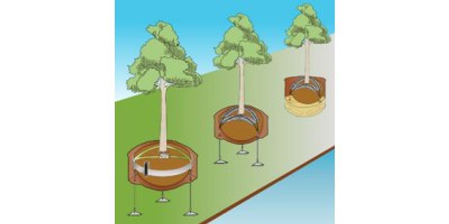 Tree Anchoring System