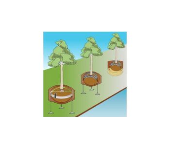 Tree Anchoring System